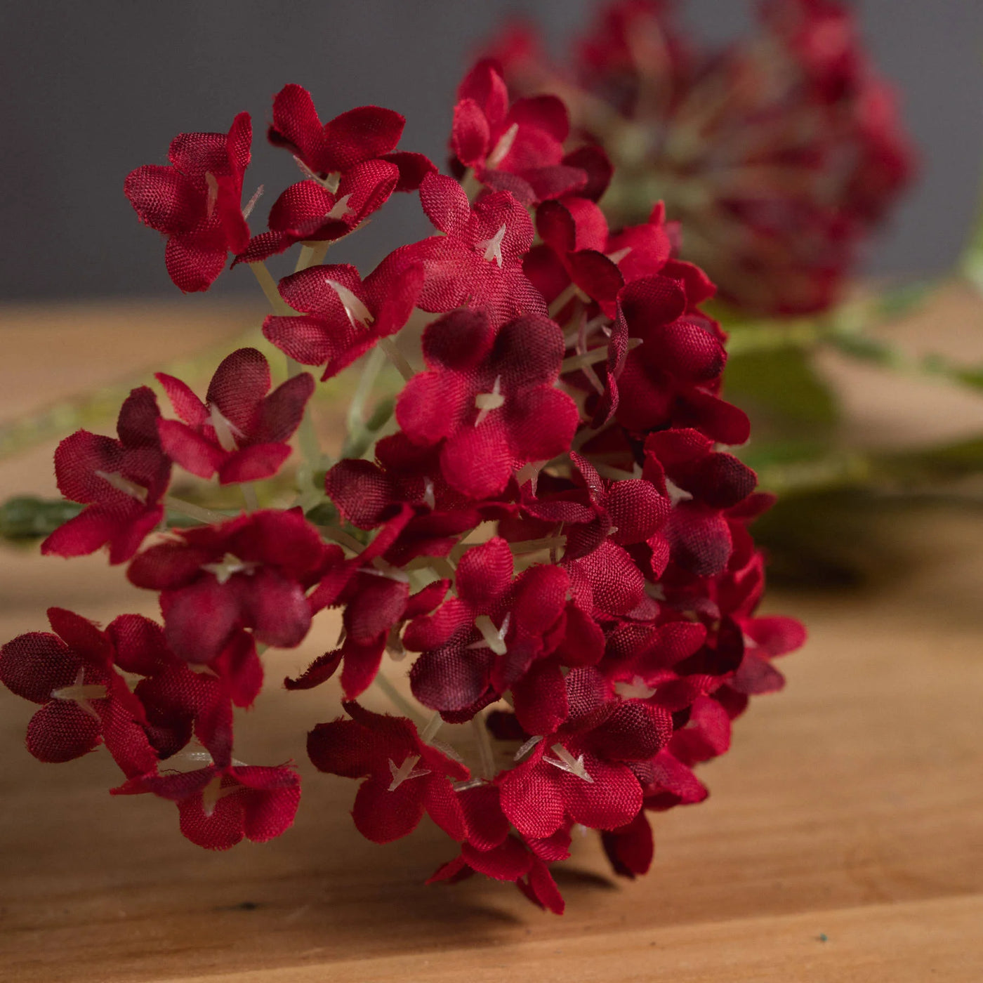 Hill-Interiors-Red-Autumnal-Viburnum_3