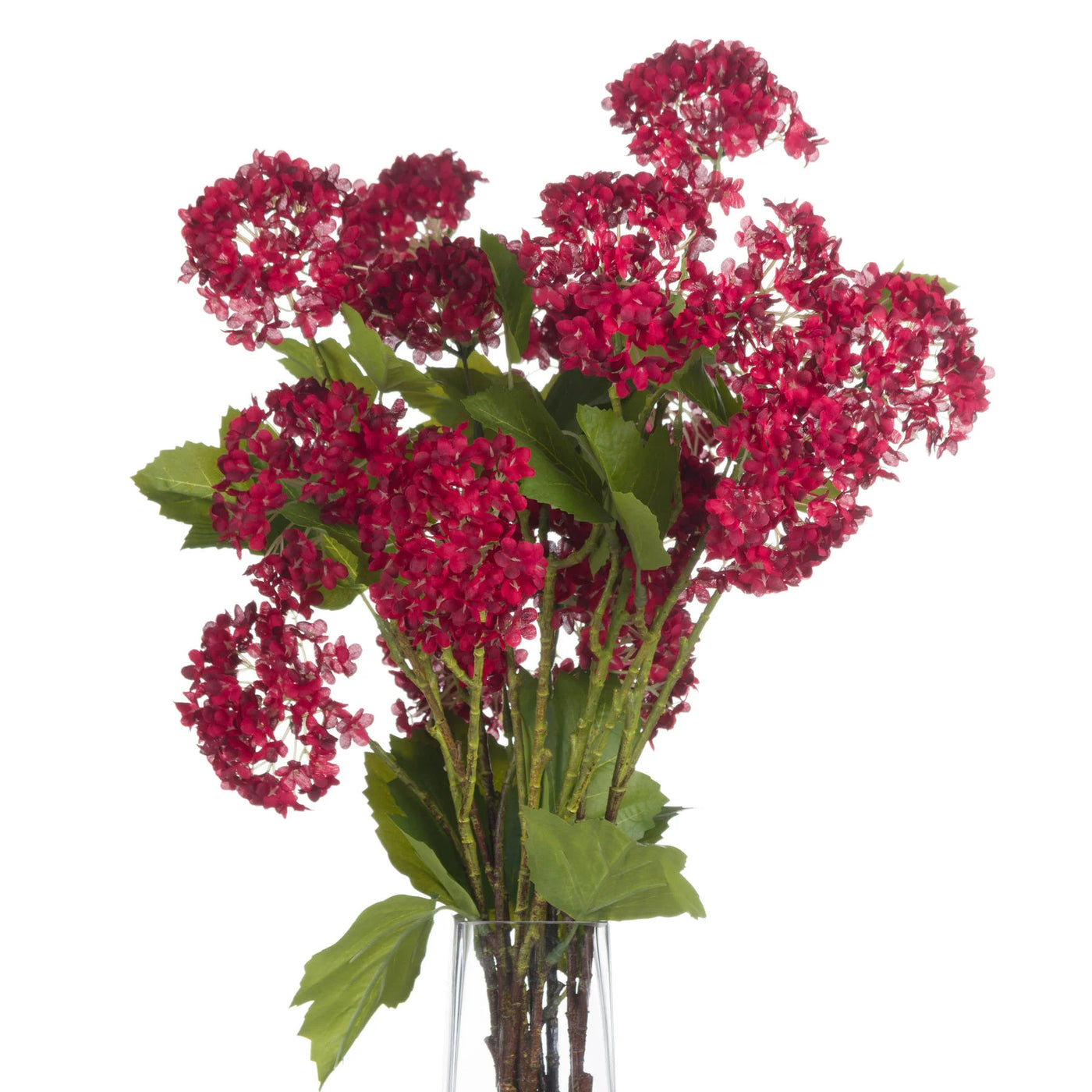 Hill-Interiors-Red-Autumnal-Viburnum_4