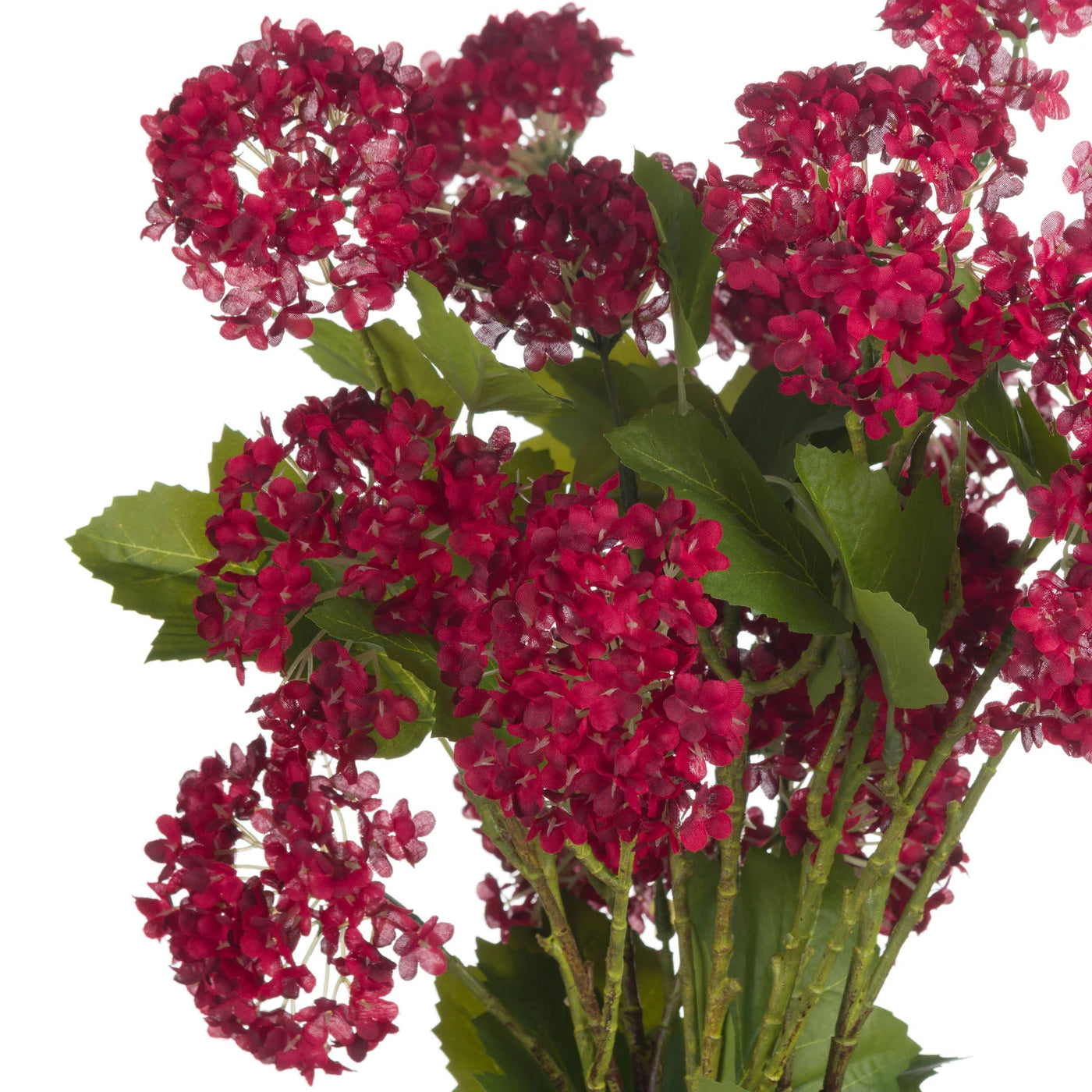 Hill-Interiors-Red-Autumnal-Viburnum_5