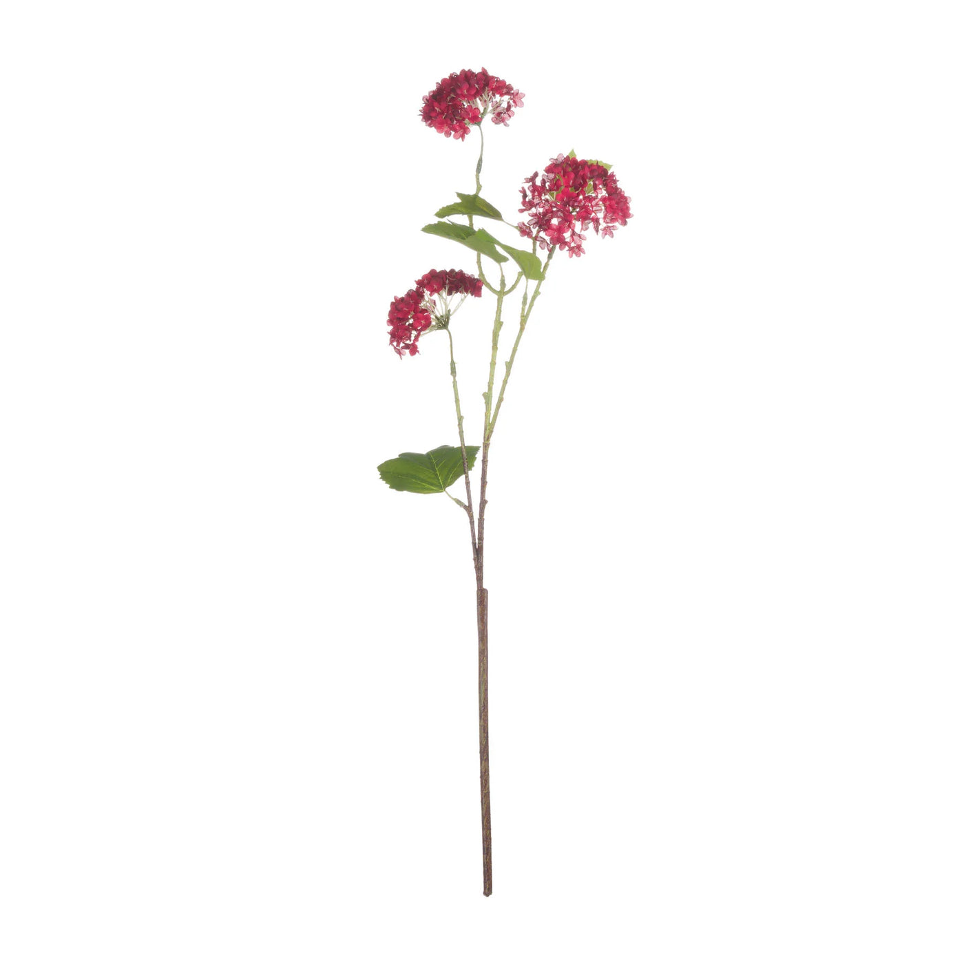 Hill-Interiors-Red-Autumnal-Viburnum_6