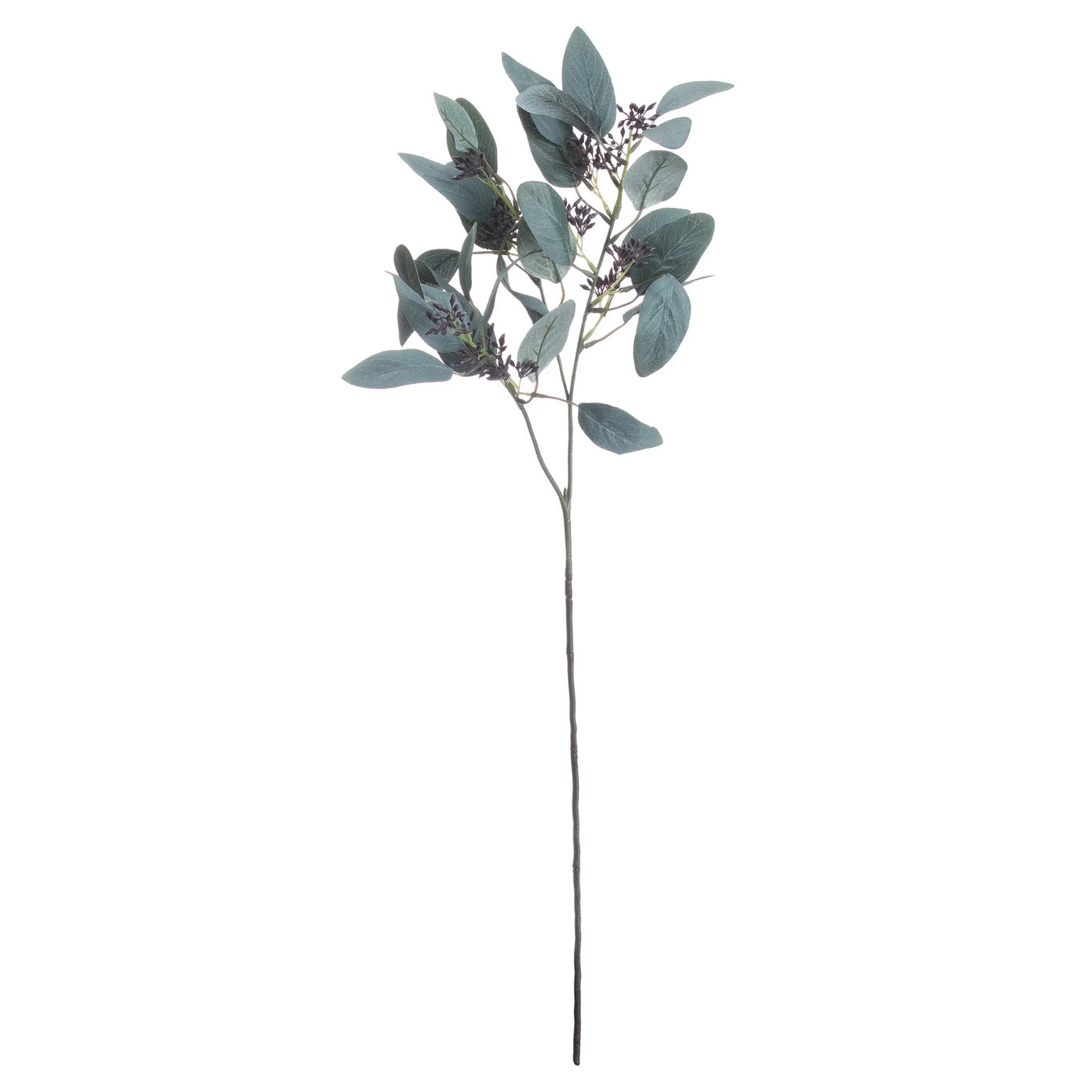 Hill-Interiors-Seeded-Eucalyptus-Stem_1