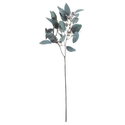 Hill-Interiors-Seeded-Eucalyptus-Stem_1