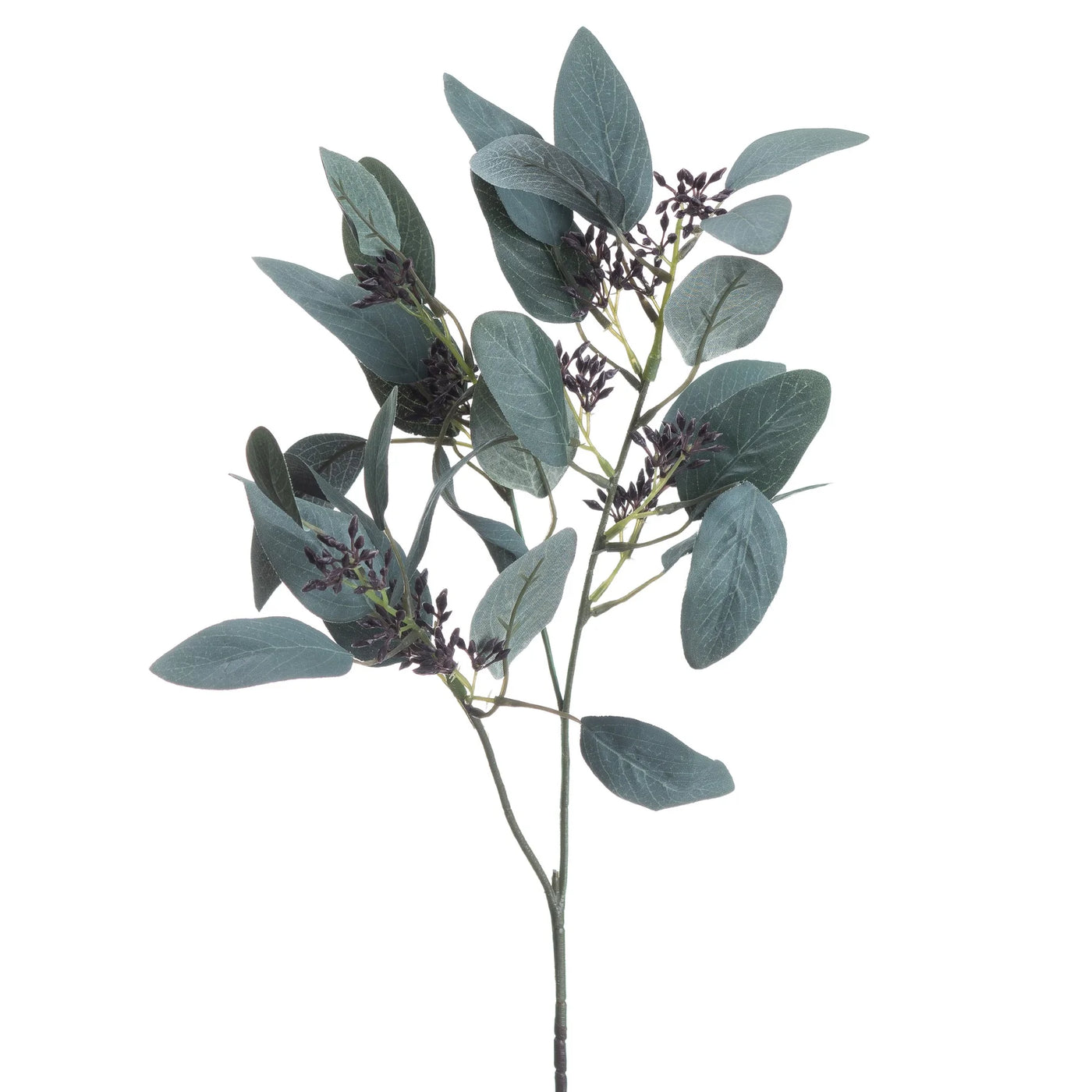 Hill-Interiors-Seeded-Eucalyptus-Stem_2