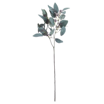 Hill-Interiors-Seeded-Eucalyptus-Stem_3