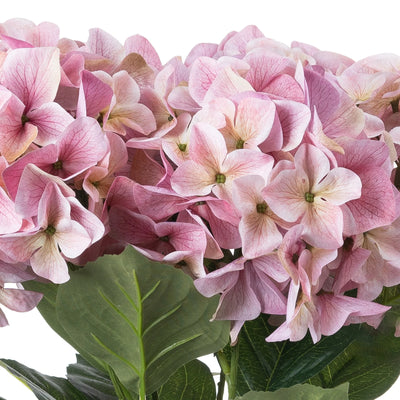 Hill-Interiors-Shabby-Pink-Hydrangea-Bouquet_1