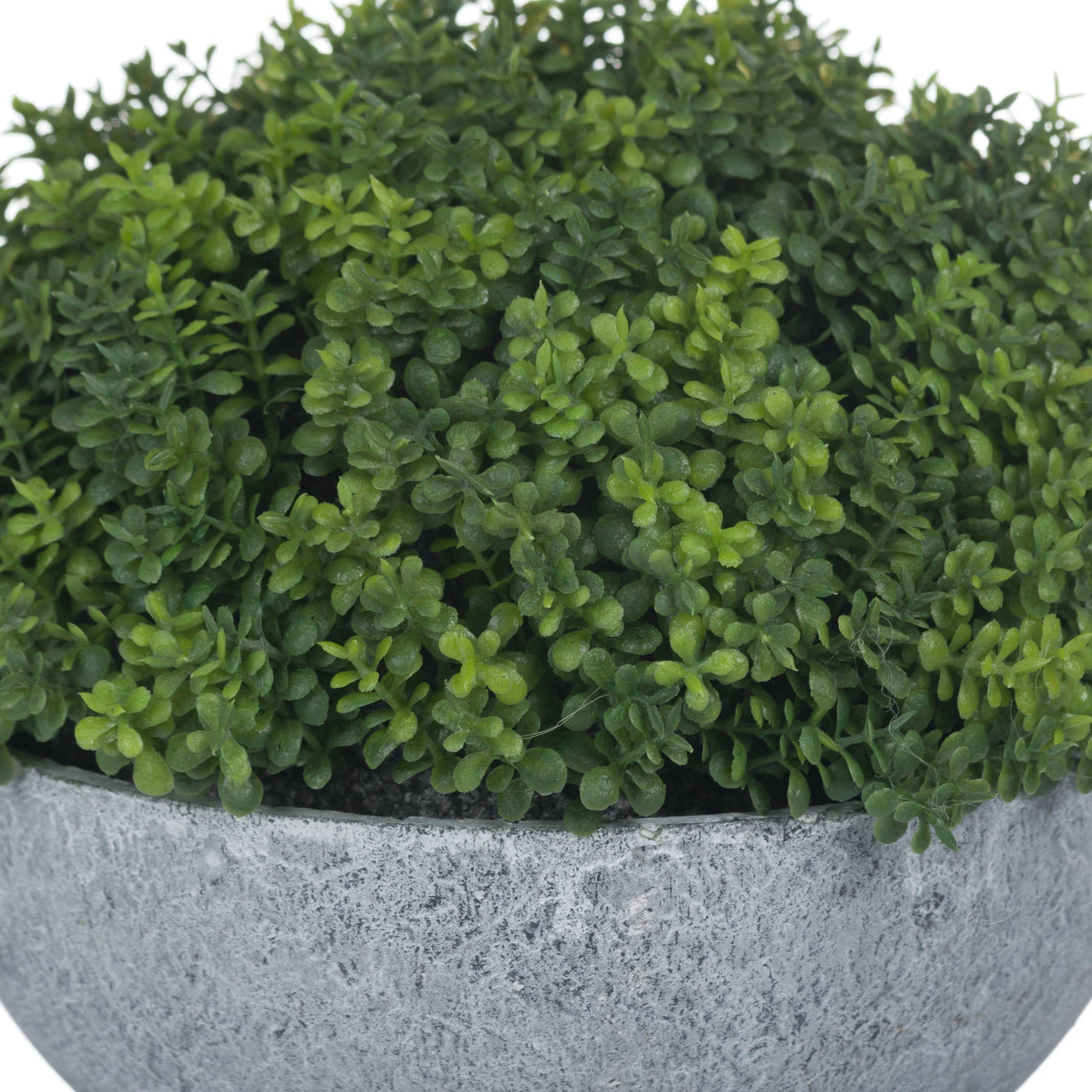 Hill-Interiors-Small-Hebe-Globe-Pot_5