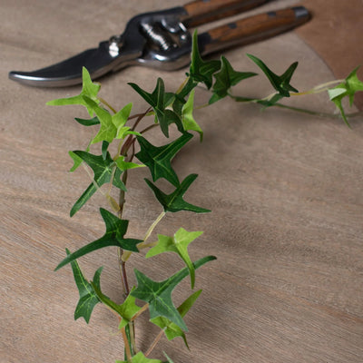 Hill-Interiors-Small-Ivy-Garland_1