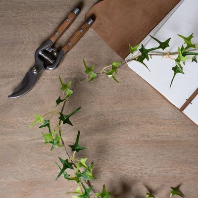 Hill-Interiors-Small-Ivy-Garland_2