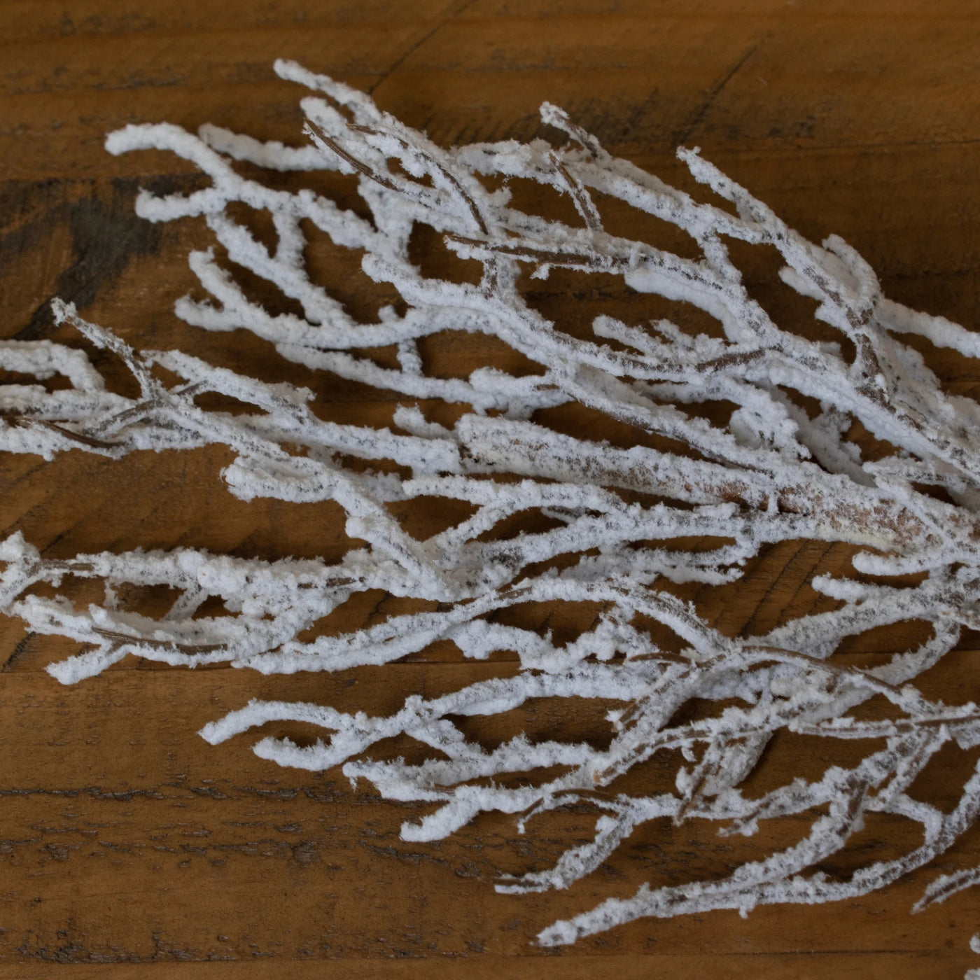 Hill-Interiors-Snow-Covered-Branch_1