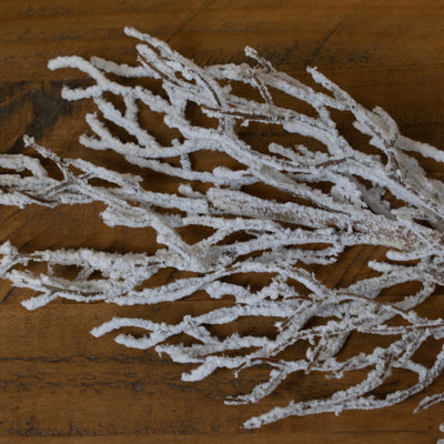 Hill-Interiors-Snow-Covered-Branch_1