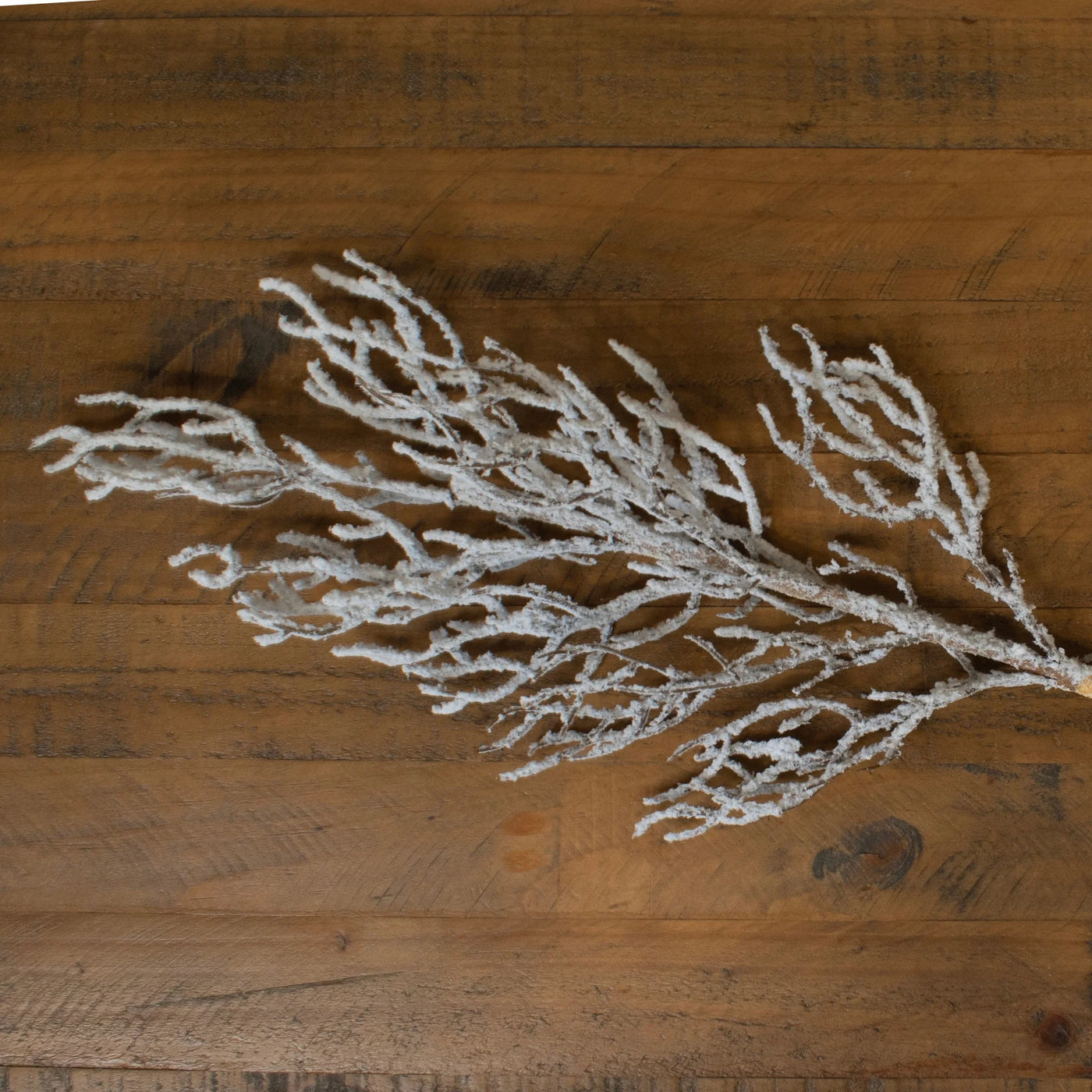 Hill-Interiors-Snow-Covered-Branch_2