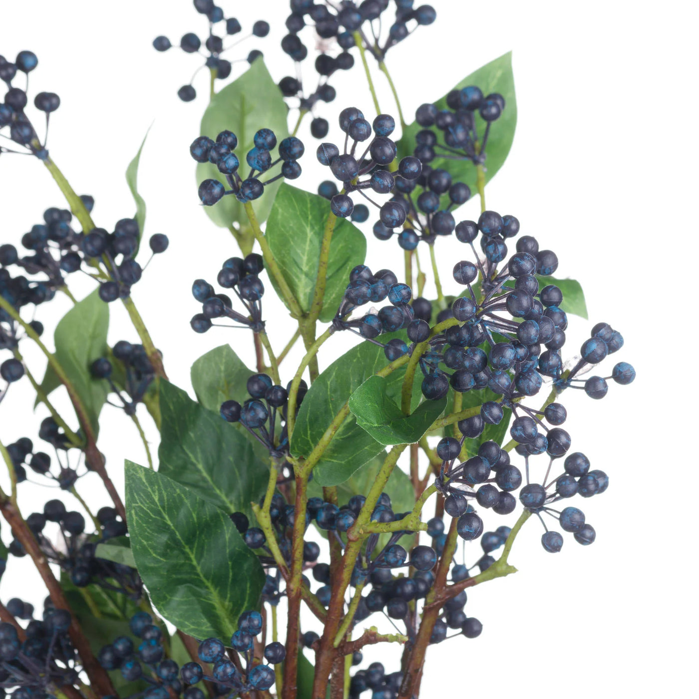 Hill-Interiors-Viburnum-Berry_5