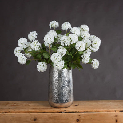 Hill-Interiors-Viburnum-Opulus_1