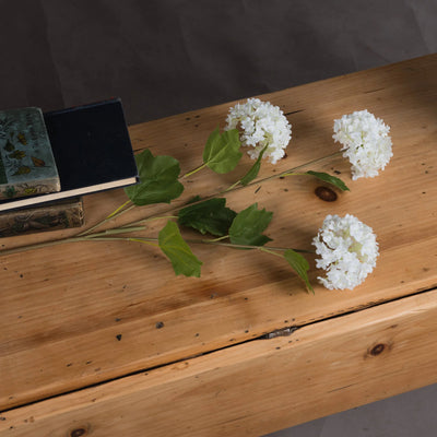 Hill-Interiors-Viburnum-Opulus_2