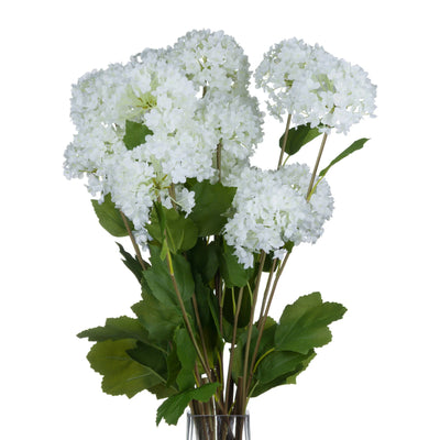Hill-Interiors-Viburnum-Opulus_4