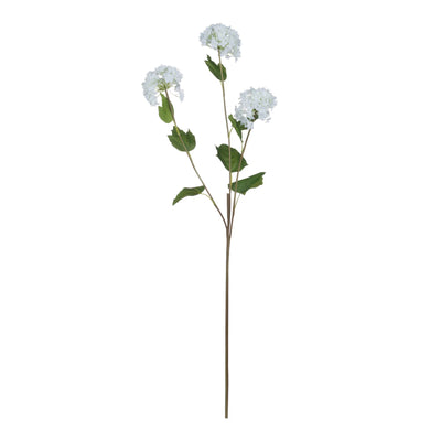 Hill-Interiors-Viburnum-Opulus_5