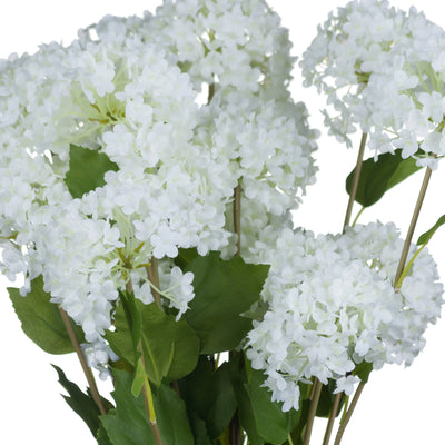 Hill-Interiors-Viburnum-Opulus_6