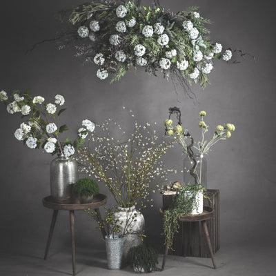 Hill-Interiors-Viburnum-Opulus_8