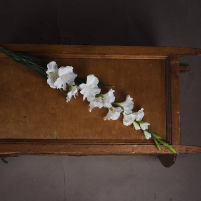 Hill-Interiors-White-Gladioli_2