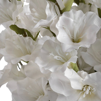 Hill-Interiors-White-Gladioli_5