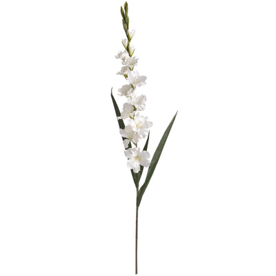 Hill-Interiors-White-Gladioli_6