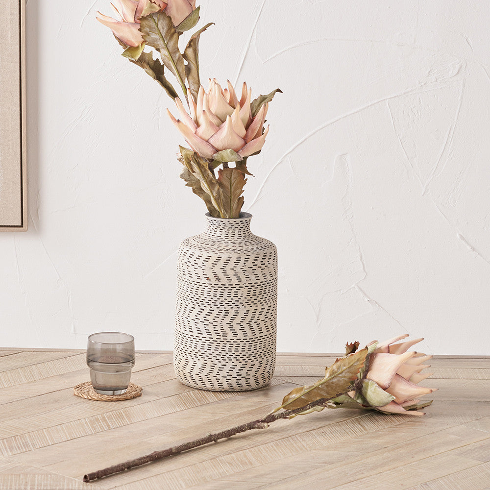 Pacific Lifestyle Apricot Lotus Pack of 6