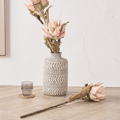 Pacific Lifestyle Apricot Lotus Pack of 6