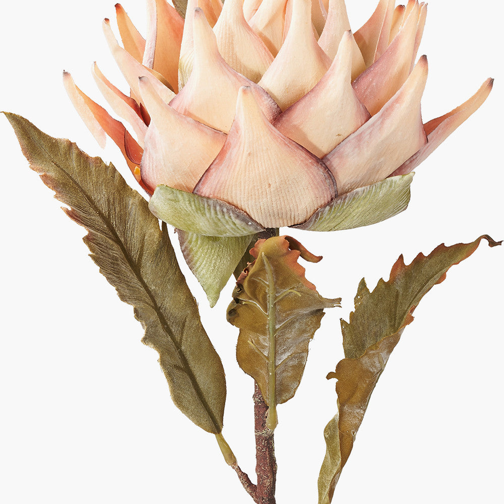 Pacific Lifestyle Apricot Lotus Pack of 6 4