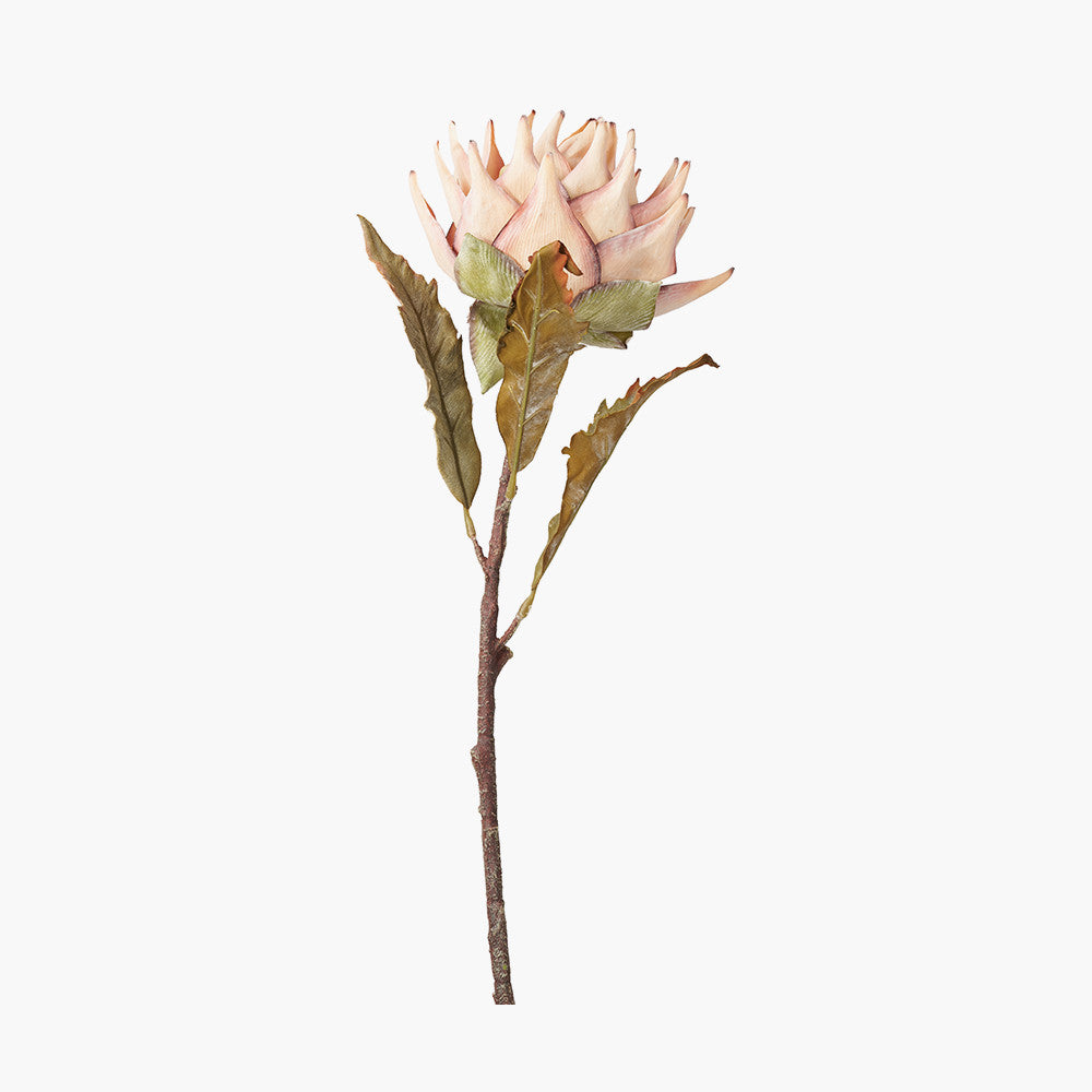 Pacific Lifestyle Apricot Lotus Pack of 6 5