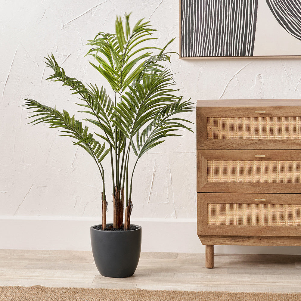 Pacific Lifestyle Areca Palm Plant in Pot