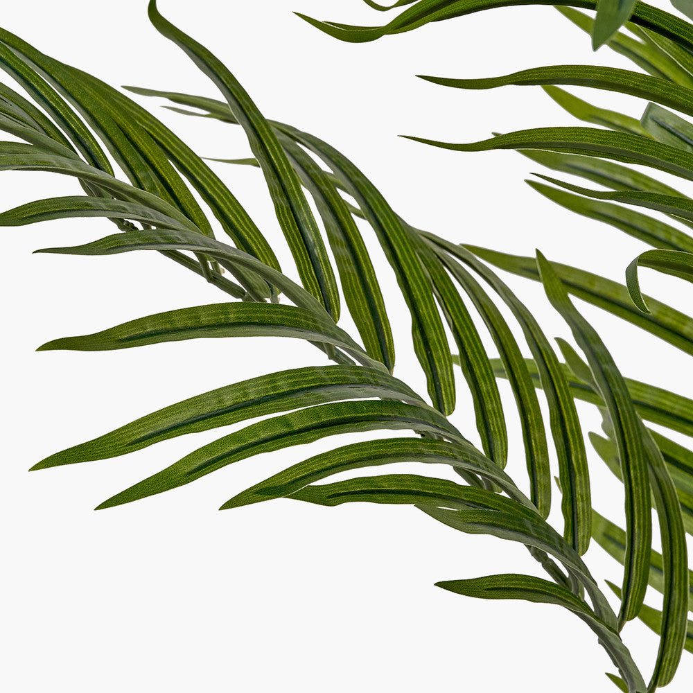 Pacific Lifestyle Areca Palm Plant in Pot 2