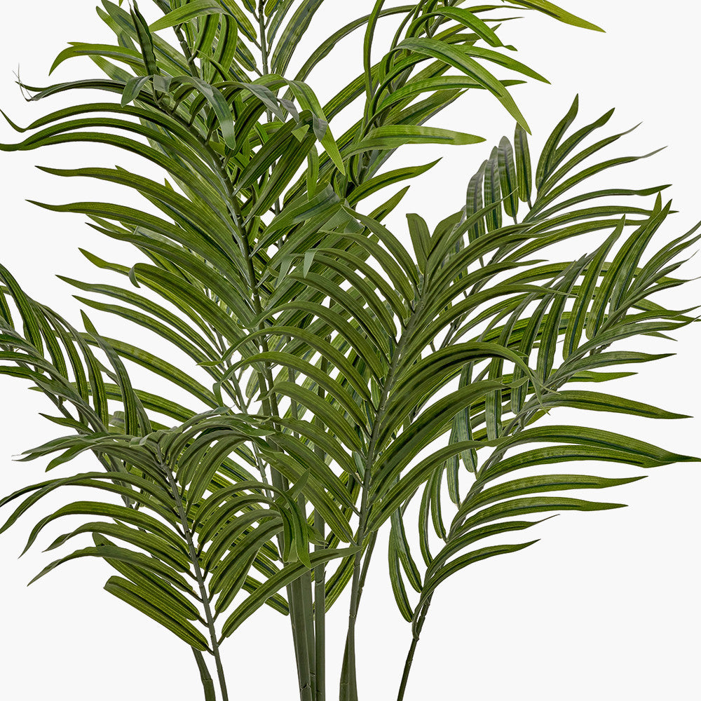 Pacific Lifestyle Areca Palm Plant in Pot 3