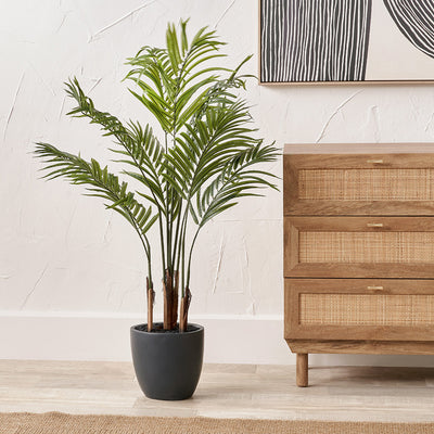 Pacific Lifestyle Areca Palm Plant in Pot