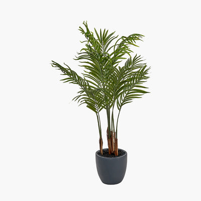 Pacific Lifestyle Areca Palm Plant in Pot 5