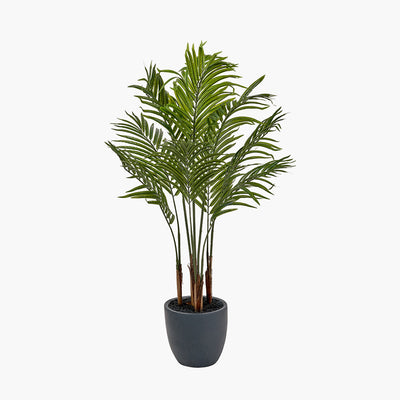 Pacific Lifestyle Areca Palm Plant in Pot 6
