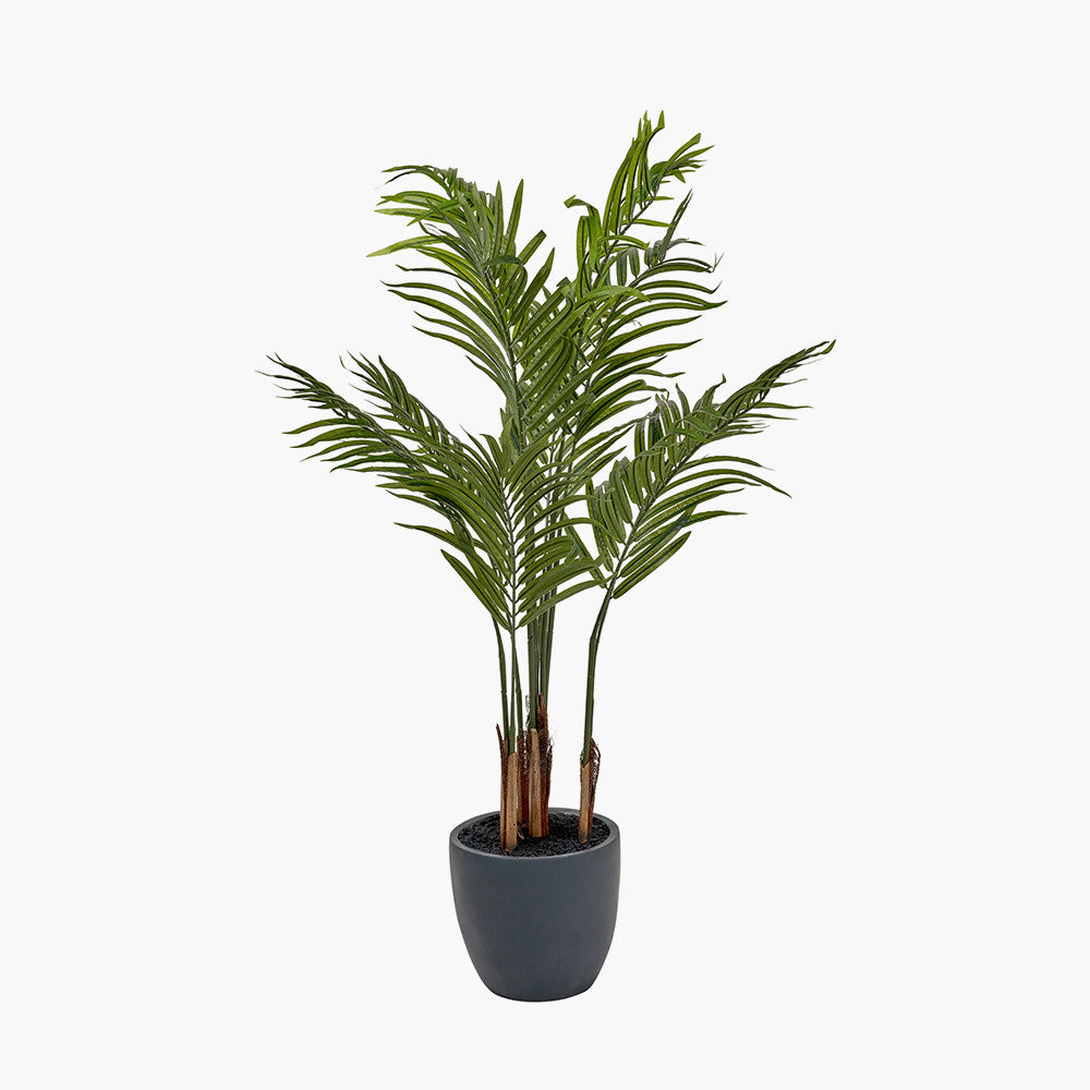 Pacific Lifestyle Areca Palm Plant in Pot 7
