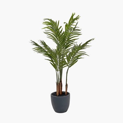 Pacific Lifestyle Areca Palm Plant in Pot 7