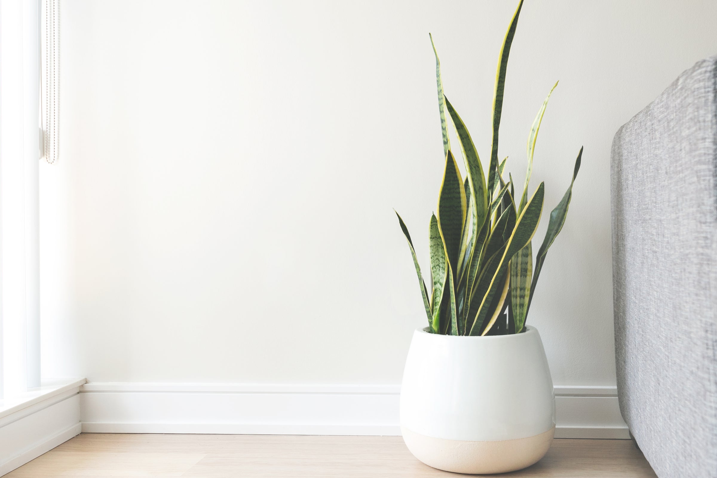 online-luxury-furniture-retailer-in-uk-the-bonnie-home