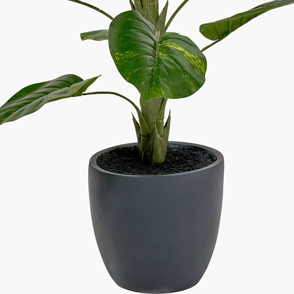pacific-lifestyle-elephant-ear-plant-in-pot_4